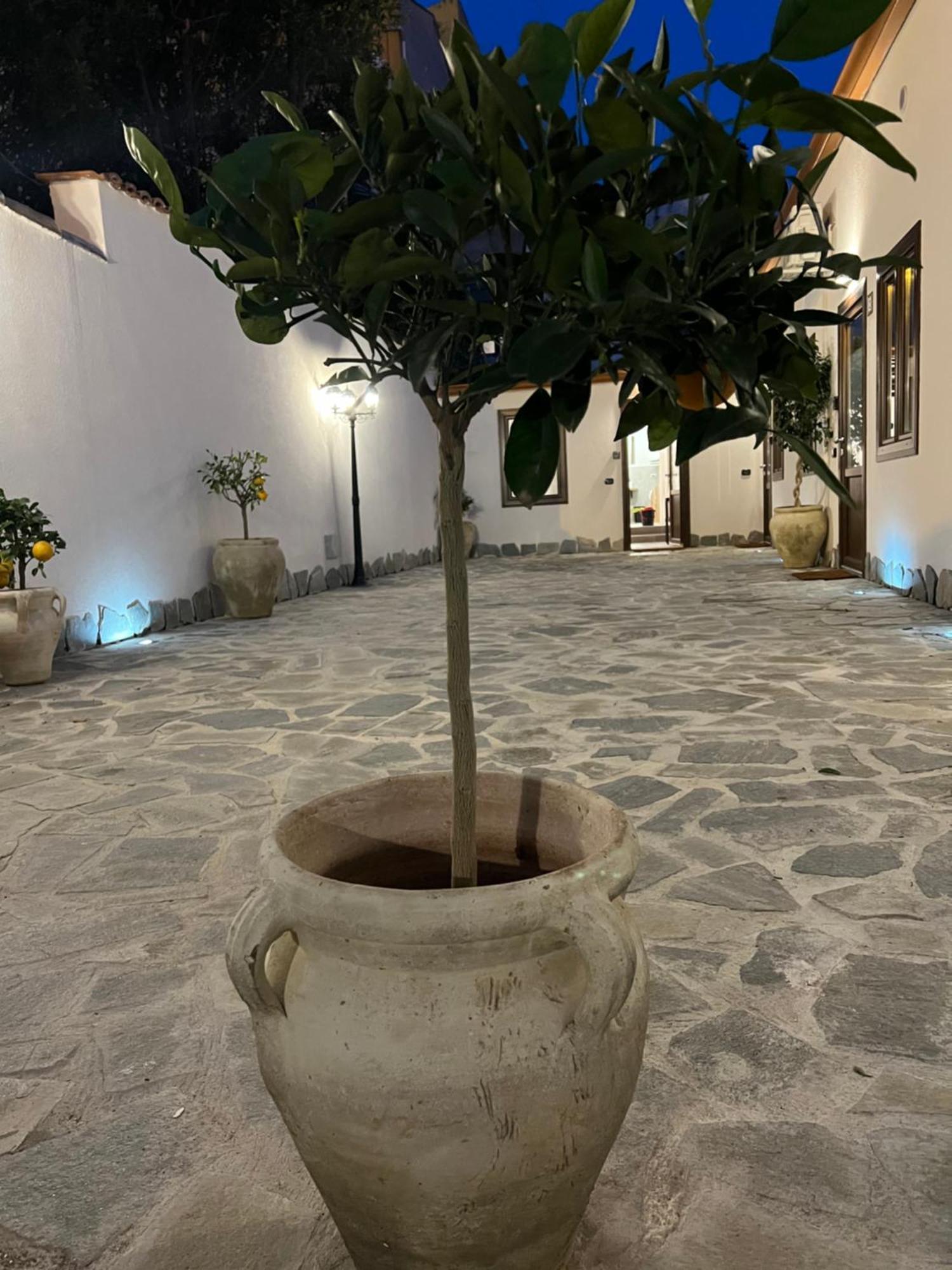 Cedros Apartment Palermo Exterior photo