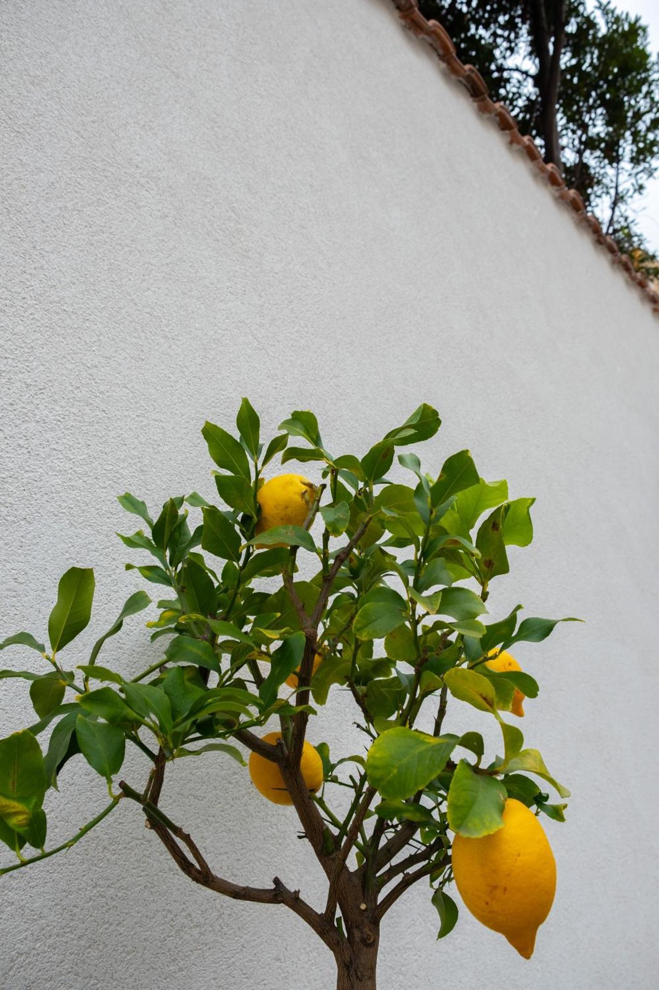 Cedros Apartment Palermo Exterior photo